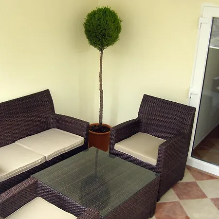 スプリット アーティスティック スプリト